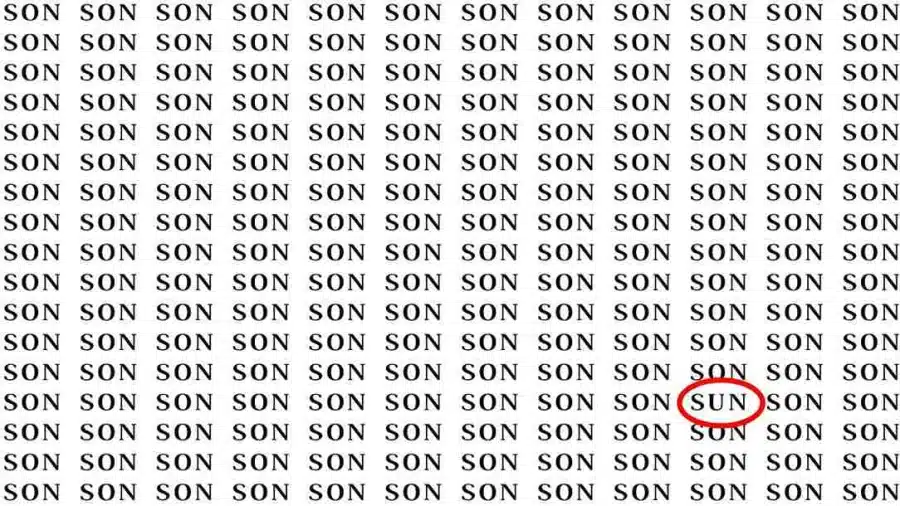 Test di osservazione: se hai gli occhi dell'aquila, trova la parola 
