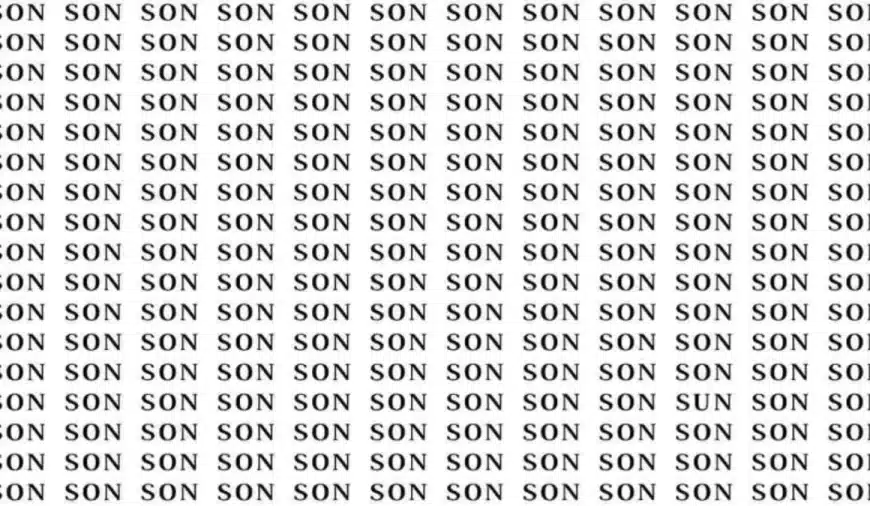 Test di abilità di osservazione: se hai gli occhi dell’aquila, trova la parola Sole tra i figli in 10 secondi.