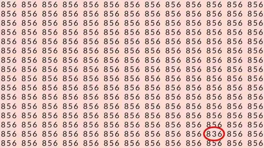 Test di capacità di osservazione: Se hai la vista acuta, riesci a trovare il numero 836 da 856 in 7 secondi?