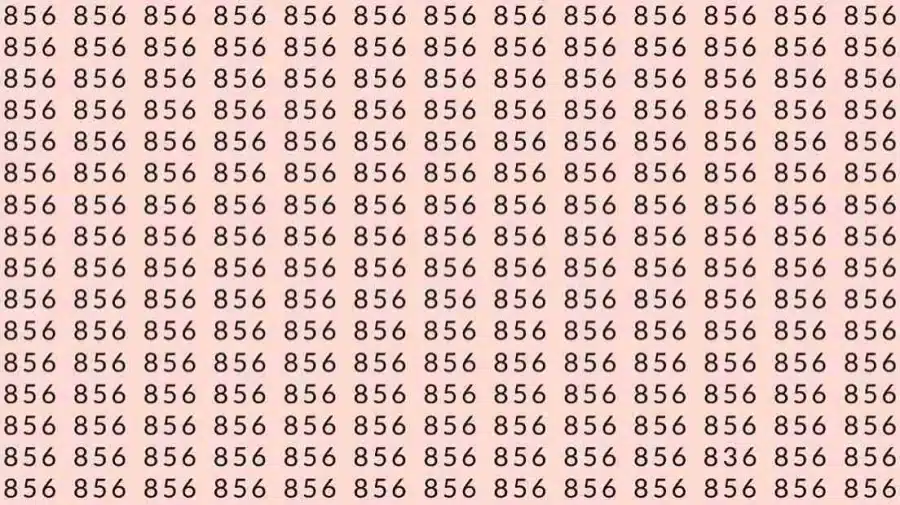 Test di capacità di osservazione: Se hai la vista acuta, riesci a trovare il numero 836 da 856 in 7 secondi?