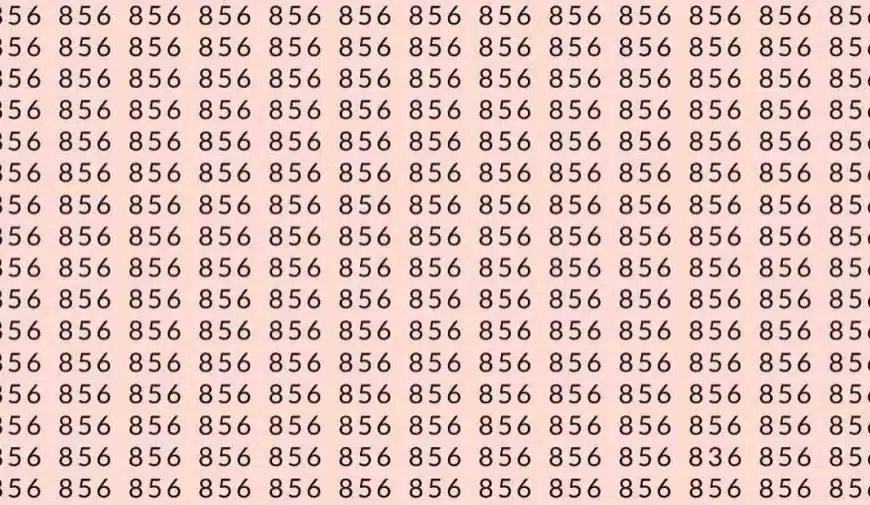 Test di abilità di osservazione: se hai gli occhi acuti, puoi trovare il numero 836 tra 856 in 7 secondi?