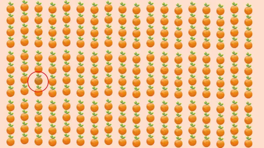 Test di illusione ottica: Se hai occhi acuti, puoi individuare lo strano colore arancione in 8 secondi