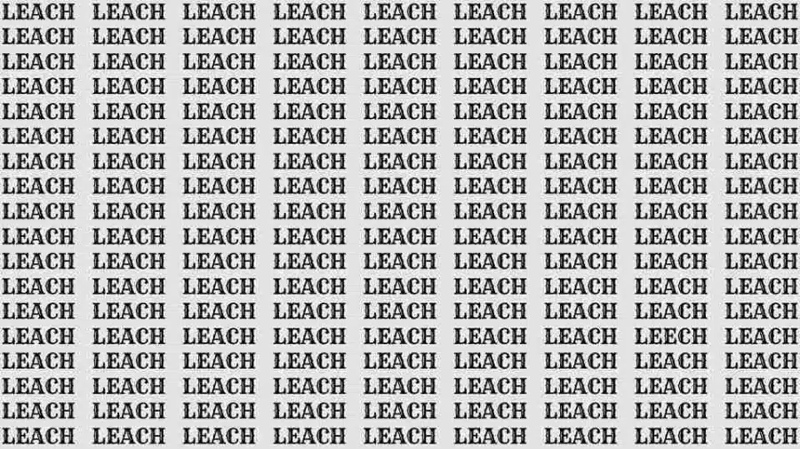 Test di osservazione: Se hai un occhio d'aquila, trova la parola Leech in Leach in 8 secondi. Test di osservazione: Se hai un occhio d'aquila, trova la parola Leech in Leach in 8 secondi