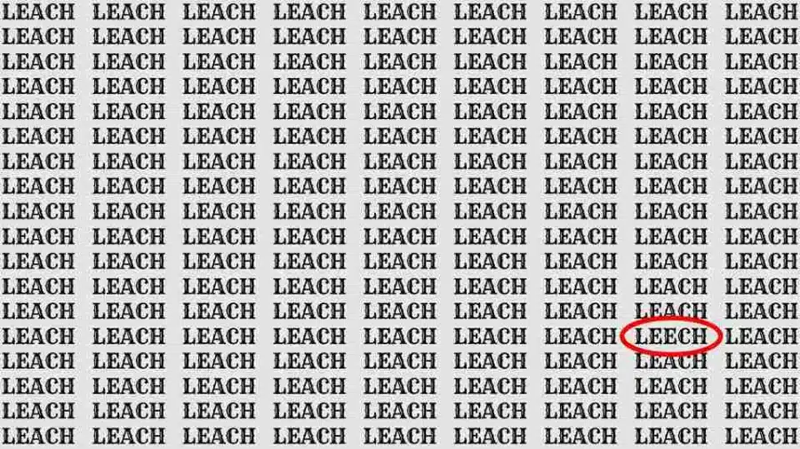 Test di osservazione: Se hai un occhio d'aquila, trova la parola Leech in Leach in 8 secondi Test di osservazione: Se hai un occhio d'aquila, trova la parola Leech in Leach in 8 secondi