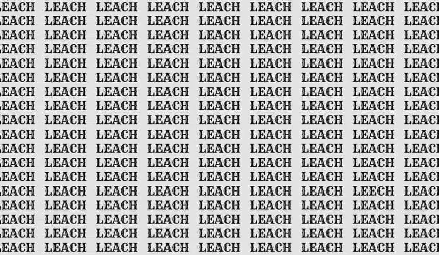 Test di abilità di osservazione: se avete gli occhi dell’aquila, trovate la parola Leech tra Leach in 8 secondi.