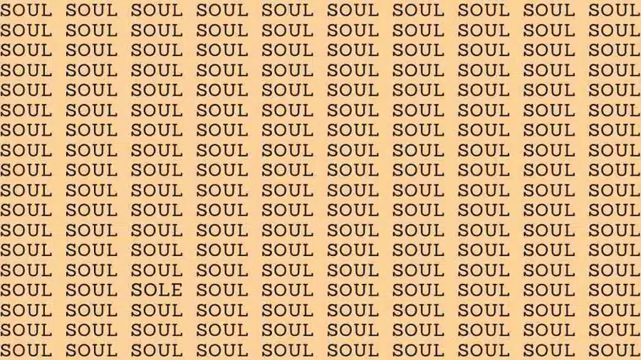 Test di osservazione: Se hai occhi d'aquila, trova la parola Sole nell'anima entro 9 secondi.