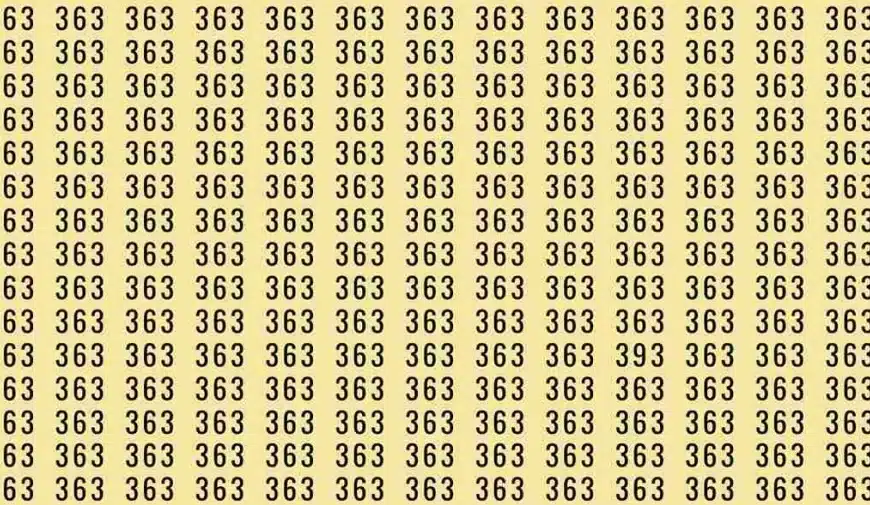 Test cerebrale di illusione ottica: se hai gli occhi da falco trovi il numero 393 tra i 363 in 9 secondi?