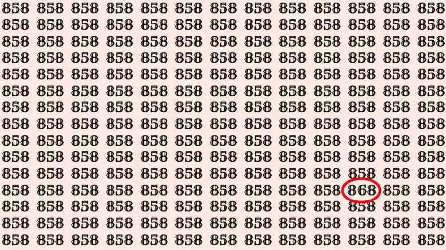 Illusione ottica: Se hai occhi d'aquila, puoi trovare il numero 868 da 858 in 6 secondi?