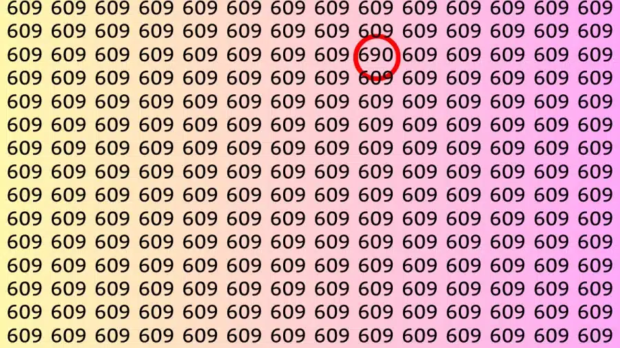 Test di illusione ottica: Riesci a trovare il numero 690 da 609 in 10 secondi?