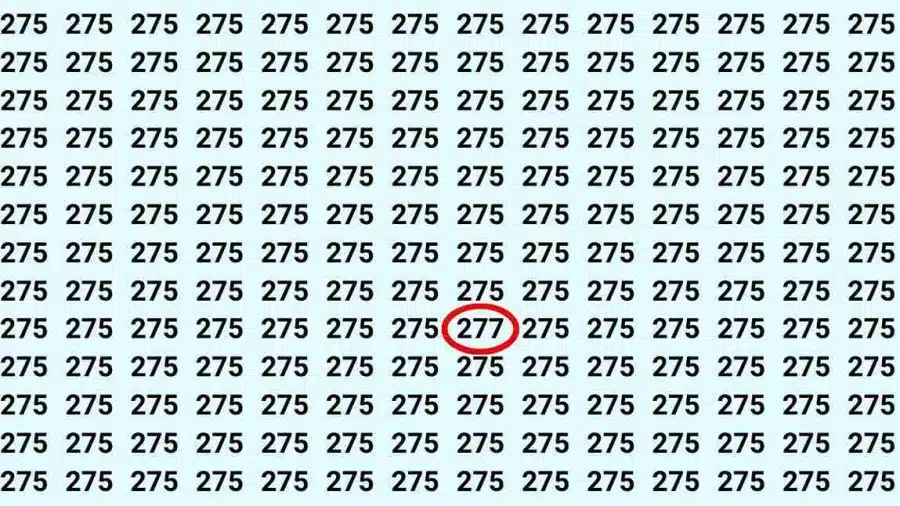 Test di osservazione: Riesci a trovare il numero 277 da 275 in 10 secondi?