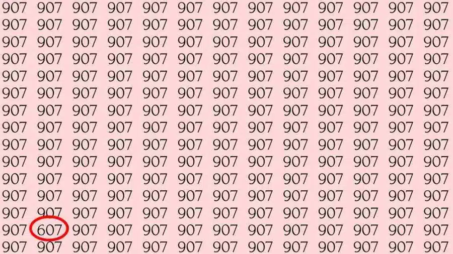 Illusione ottica: Se hai occhi acuti, riesci a trovare 607 da 907 in 10 secondi?