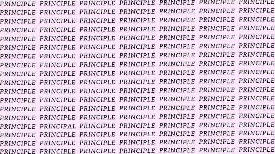 Test di osservazione: Se hai l'occhio dell'aquila, trova la parola 