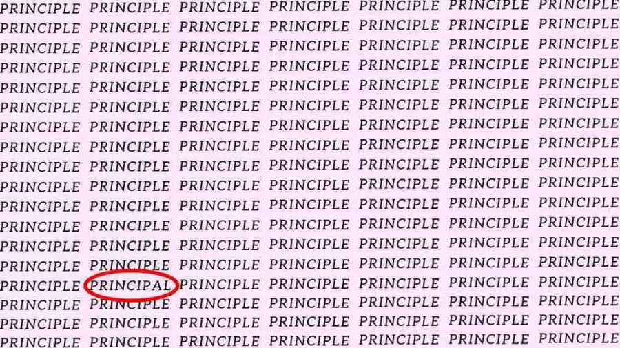 Test di osservazione: Se hai un occhio d'aquila, trova la parola 