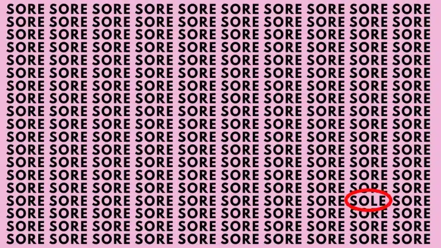 Test di capacità di osservazione: Se hai occhi d'aquila, trova la parola Sole in Sore entro 10 secondi.