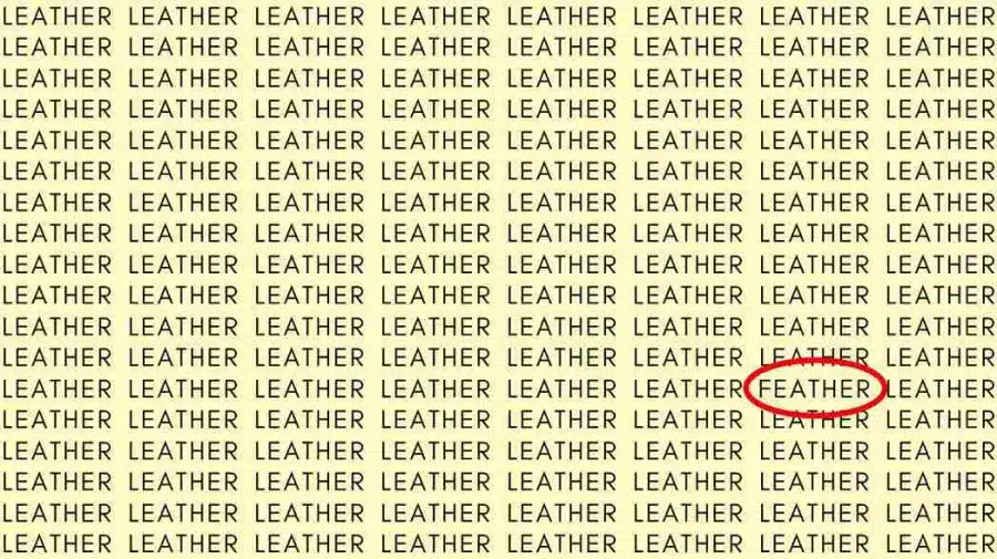 Test di osservazione: Se hai gli occhi dell'aquila, trova la parola 