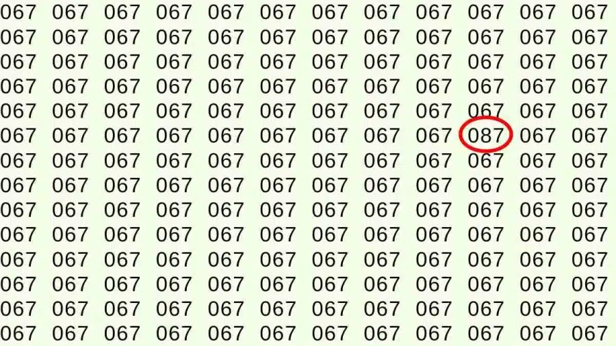 Illusione ottica: Riesci a trovare 087 da 067 in 15 secondi? Illusioni ottiche Spiegazioni e soluzioni