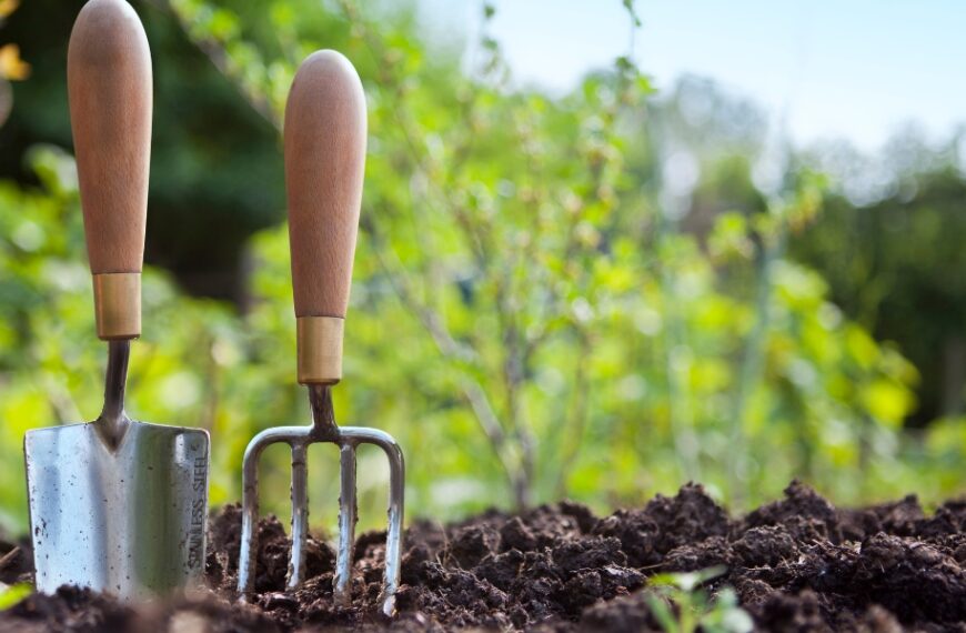 Come posso fare il giardino con la luna nel dicembre 2023?