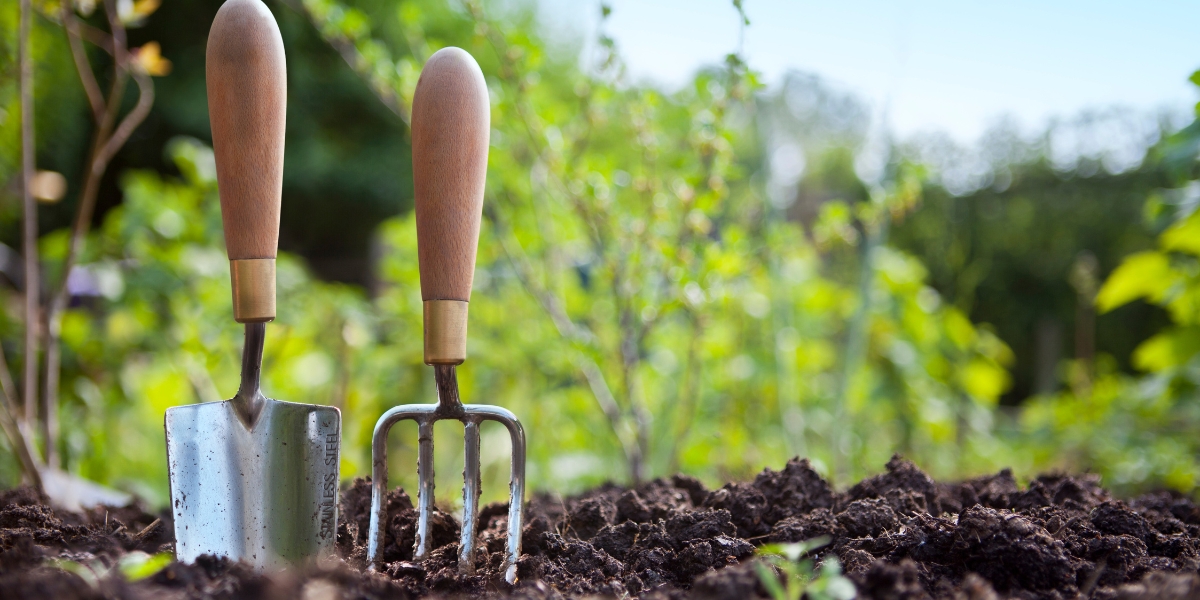 Come posso fare il giardino con la luna nel dicembre 2023?