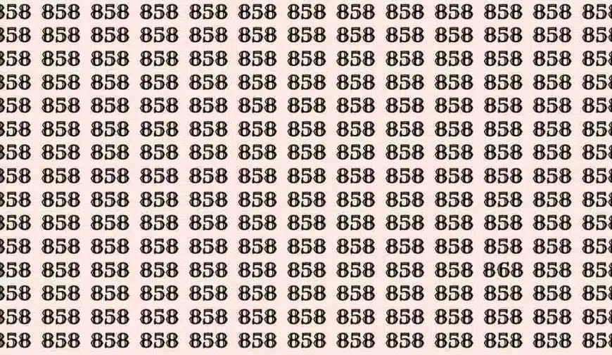 Illusione ottica: Se hai gli occhi di un falco trovi il numero 868 tra 858 in 6 secondi?