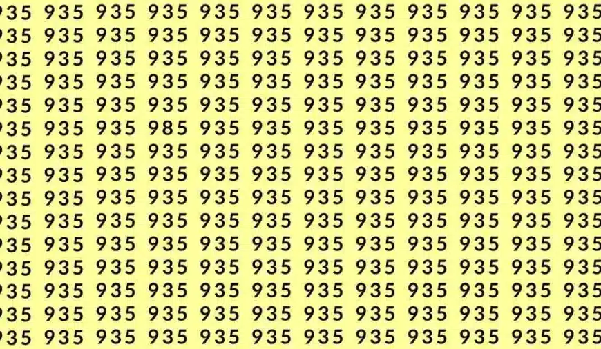 Illusione ottica: Se hai occhi di falco trovi 985 tra 935 in 10 secondi?
