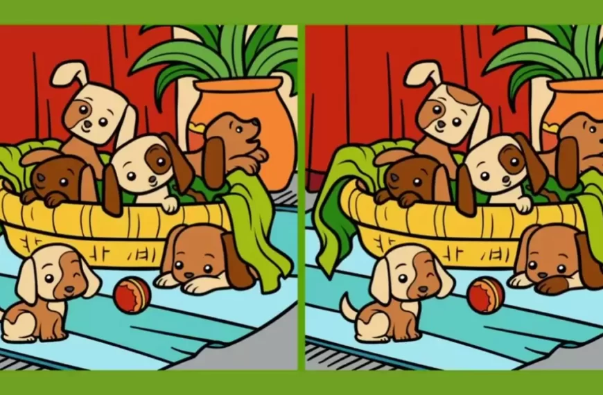 Puzzle di illusione ottica per individuare le differenze: se hai gli occhi di un falco, puoi trovare le 3 differenze tra due immagini entro 15 secondi?