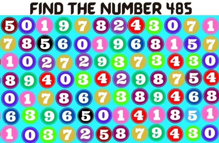 Siete abbastanza intelligenti da trovare il numero 485 in 10 secondi?