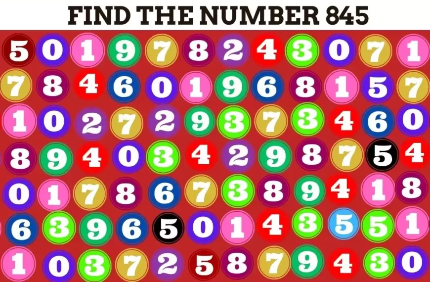 Solo il 20% delle persone riesce a individuare il numero 845 in questa illusione ottica entro 10 secondi