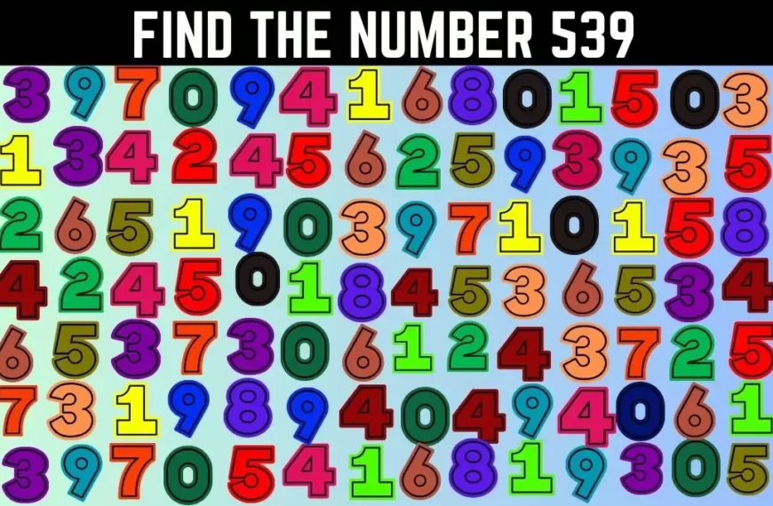 Solo le persone con il QI possono trovare il numero 539 in 14 secondi