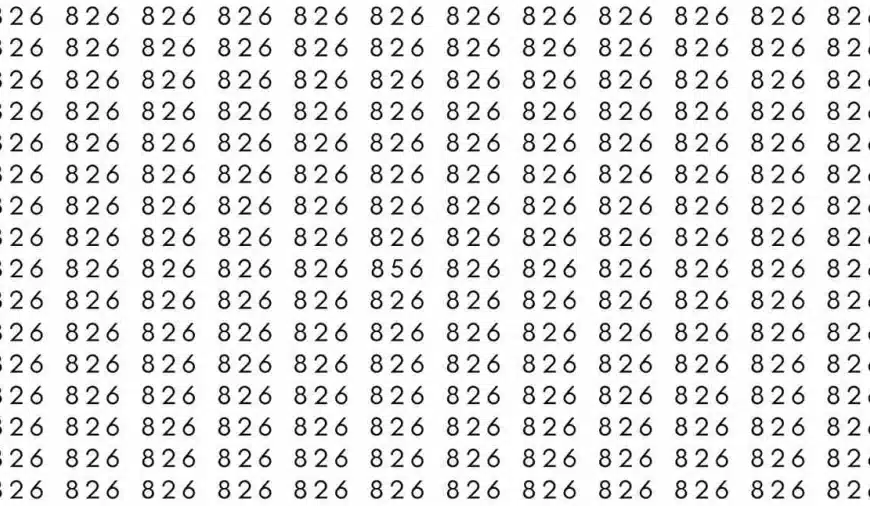 Test cerebrale di illusione ottica: se hai gli occhi da falco trovi il numero 856 tra 826 in 9 secondi?