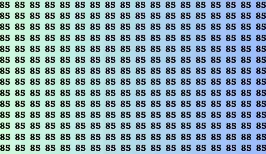 Test cerebrale sull’illusione ottica: se hai gli occhi da falco trova il numero 88 in 15 secondi