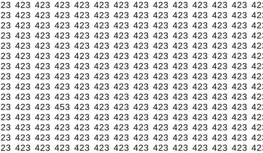 Test di illusione ottica: se avete gli occhi acuti, trovate il numero 453 tra 423 in 8 secondi.