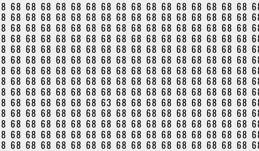 Test di illusione ottica: se hai gli occhi dell’aquila trovi il numero 63 tra i 68 in 10 secondi?