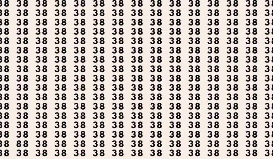 Test di illusione ottica: se hai gli occhi di un falco trovi il numero 88 tra i 38 in 7 secondi?