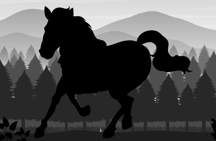 Test del QI: riuscite a identificare il cavaliere e il cavallo in questa illustrazione?