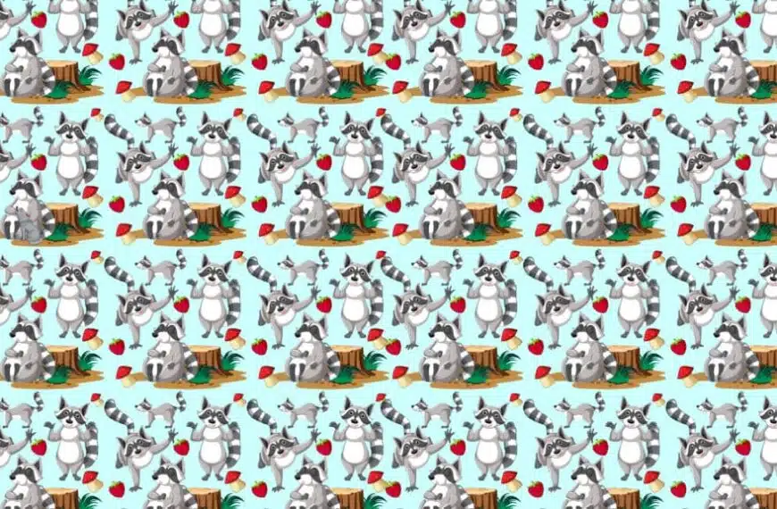 Test visivo: in 10 secondi, riuscite a trovare il lupo nascosto tra i procioni?