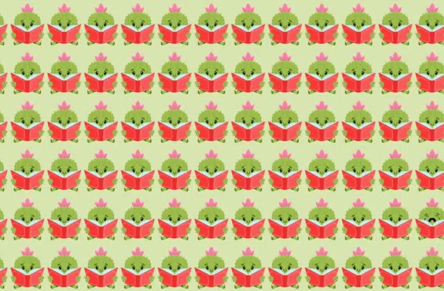 Sfida visiva: trova l’unico cactus triste in questa immagine per misurare la tua capacità di osservazione!