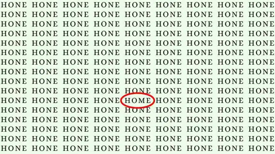 Test di osservazione: Se hai gli occhi dell'aquila, trova la parola 