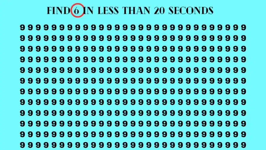 Test di osservazione: se hai occhi d'aquila, trova 6 su 9 in 20 secondi Test di osservazione: se hai gli occhi dell'aquila, trova 6 su 9 in 20 secondi