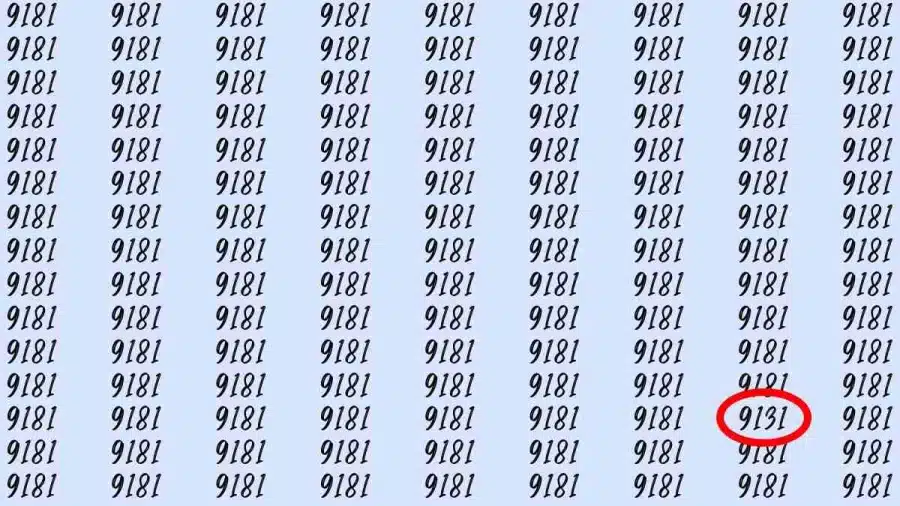 Illusione ottica: se hai occhi d'aquila, trovi 9131 da 9181 in 5 secondi?