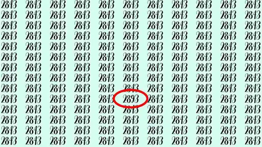 Illusione ottica: Se avessi occhi d'aquila, potresti trovare 2893 su 2843 in 10 secondi?