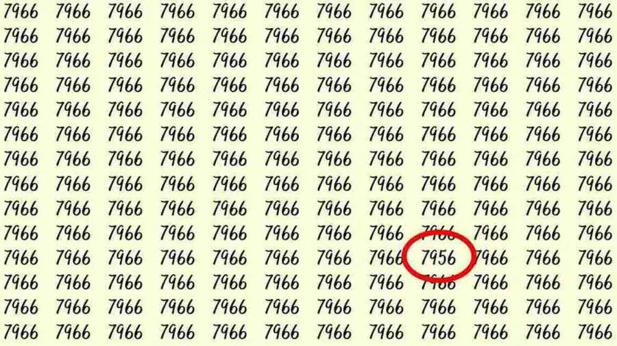 Illusione ottica: Se avessi un paio di occhi d'aquila, riusciresti a trovare 7956 su 7966 in 6 secondi?