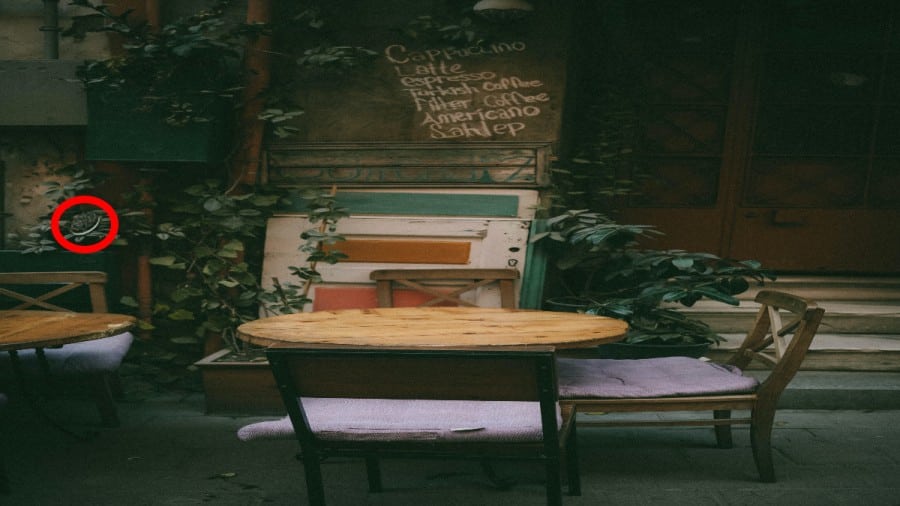 Illusione ottica: Se hai gli occhi acuti, trova l'Oreo nascosto in 12 secondi