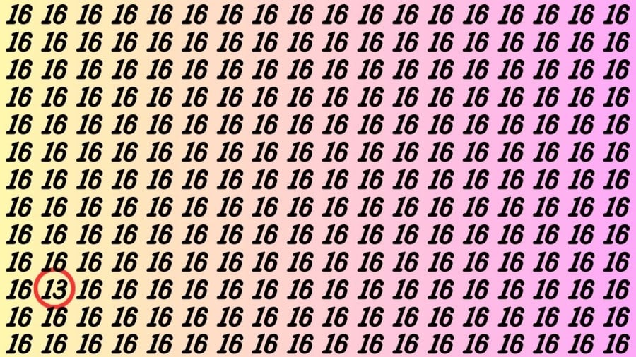Illusione ottica: Se avete occhi acuti, trovate la tredicesima di 16 numeri in 15 secondi Illusione ottica: Se hai occhi acuti, trova il 13° di 16 numeri in 15 secondi