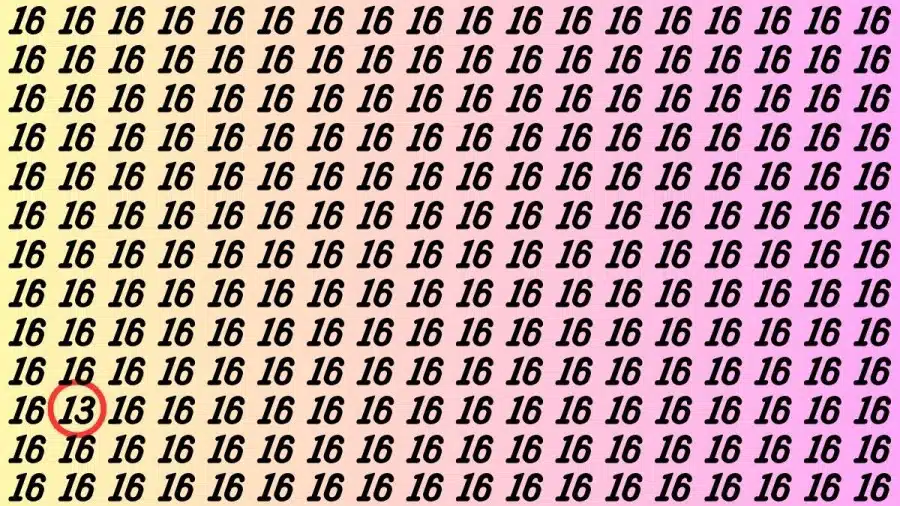 Illusione ottica: Se hai occhi acuti, trova il 13° di 16 numeri in 15 secondi