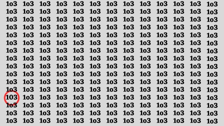 Test di capacità di osservazione: Se hai una vista acuta, trova il numero 103 in 1o3 entro 20 secondi.
