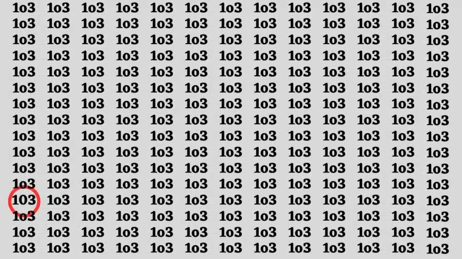 Test di capacità di osservazione: Se hai una vista acuta, trova il numero 103 in 1o3 entro 20 secondi.