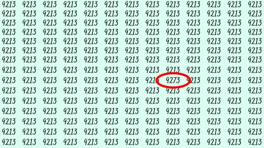 Riesci a trovare 9273 da 9213 in 15 secondi? Illusioni ottiche Spiegazioni e soluzioni