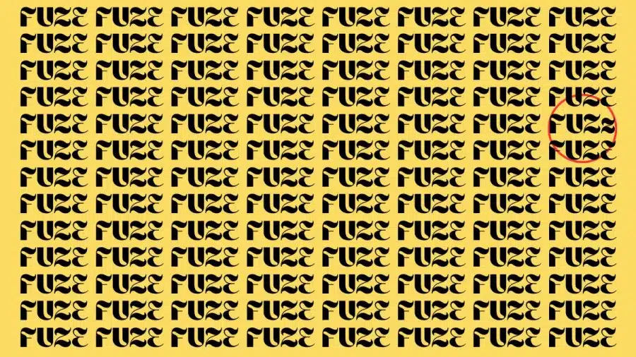 Illusione ottica: Trovare la parola FUZZ in FUZE in 8 secondi