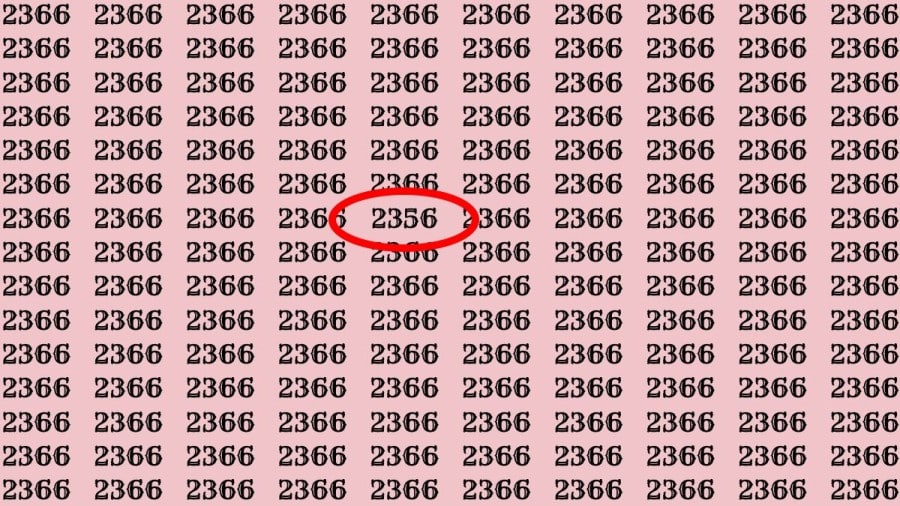 Riesci a trovare 2356 su 2366 in 30 secondi? Illusioni ottiche Spiegazioni e soluzioni