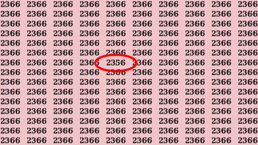 Riesci a trovare 2356 su 2366 in 30 secondi? Illusioni ottiche Spiegazioni e soluzioni